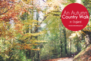 An Autumn Country Walk